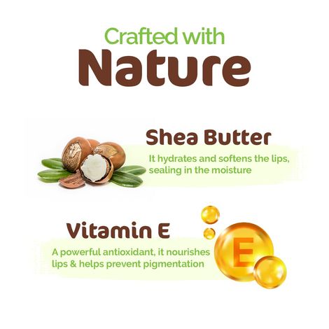 Mamaearth Nourishing 100% Natural Lip Balm